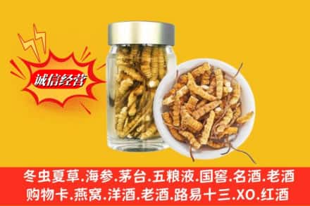 伊犁州霍尔果斯回收散虫草